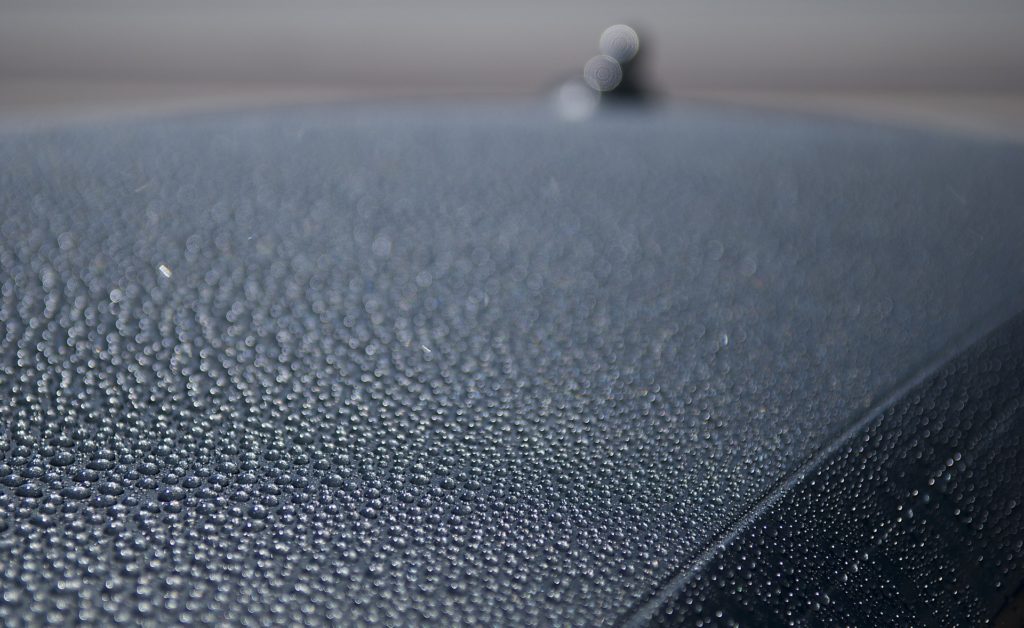 Car Waxed
