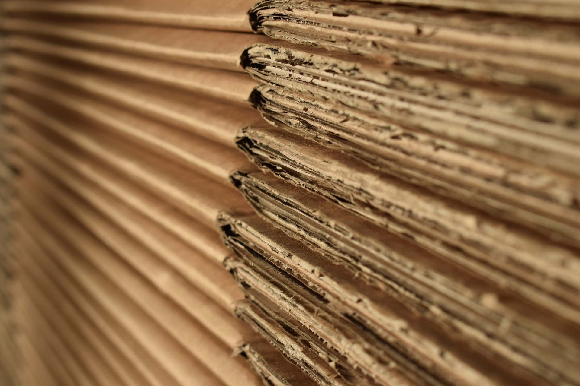 Cardboard