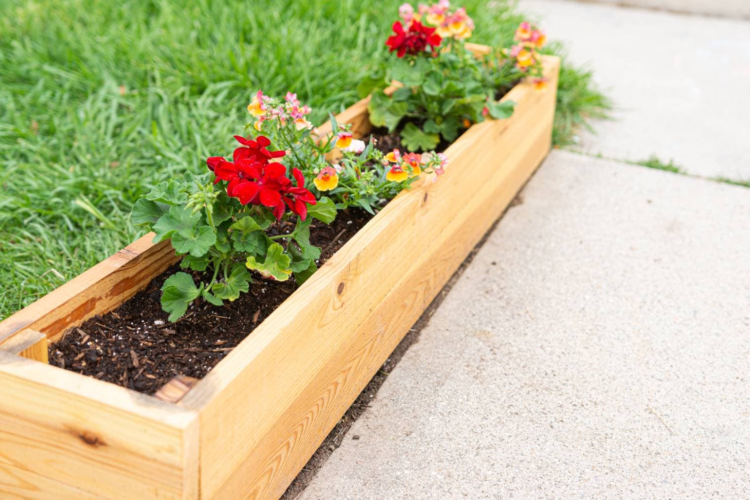 Cedar Planter Box