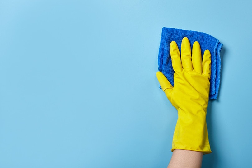 Cleaning Walls
