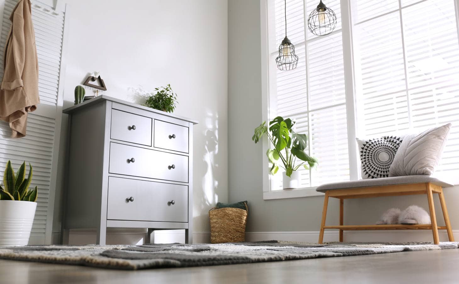 Closet with plants