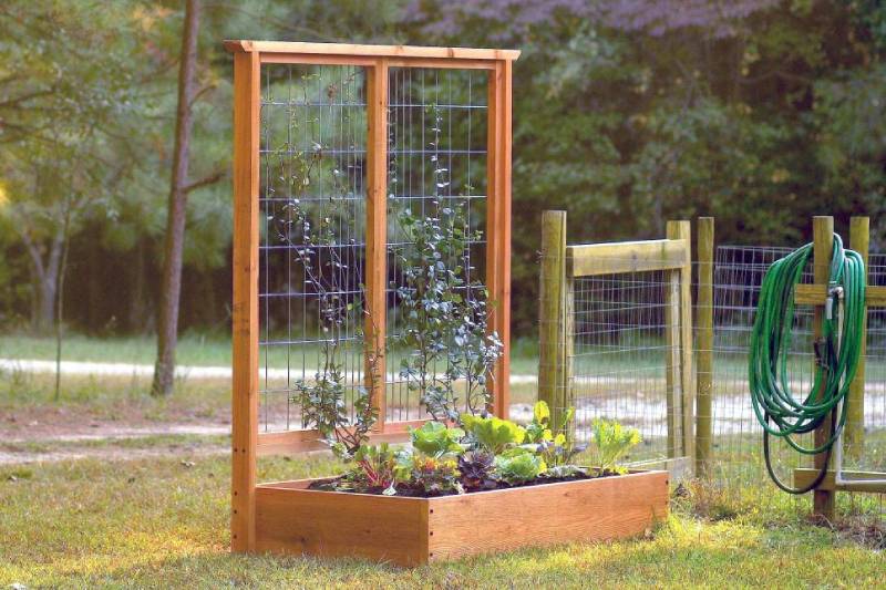 DIY raised bed and trellis