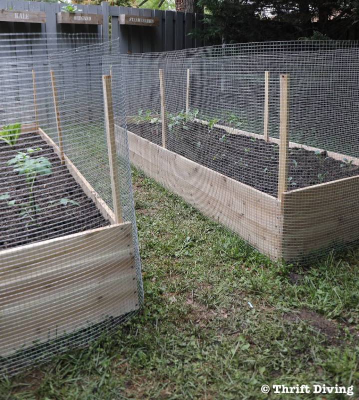 DIY raised garden bed