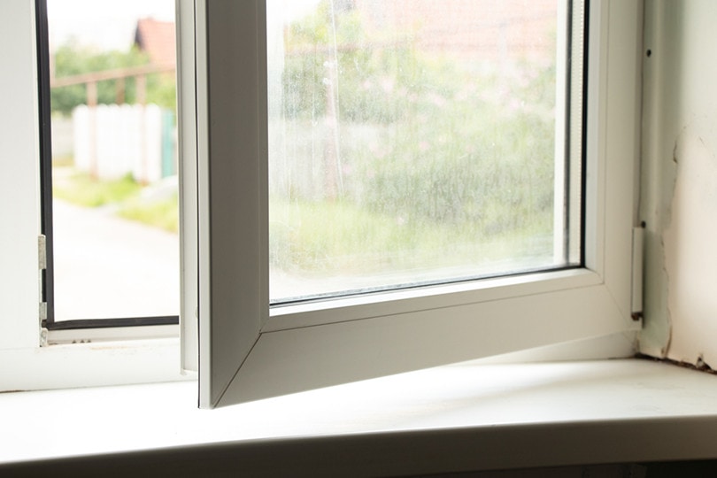 Drywall Window_