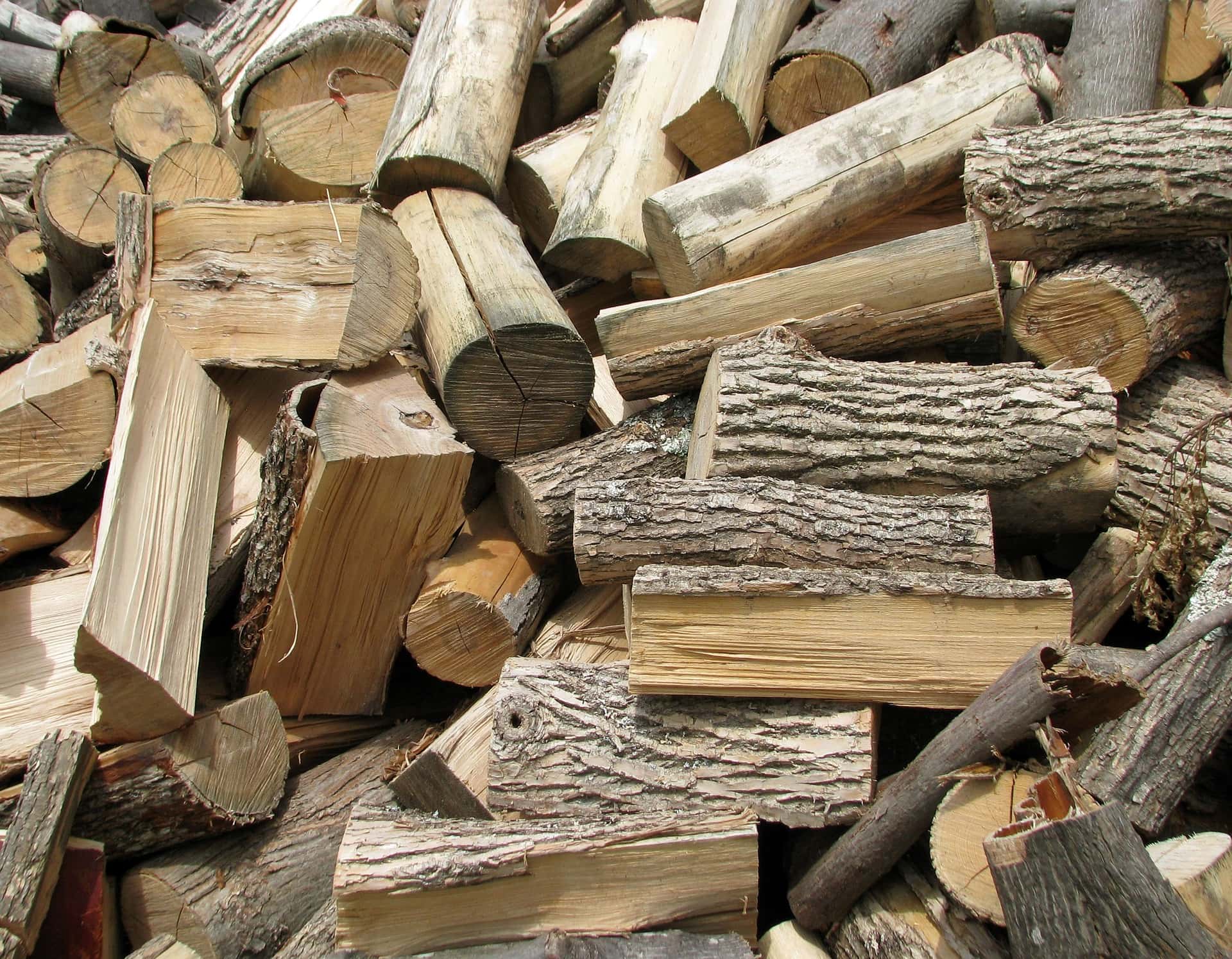 Hickory
