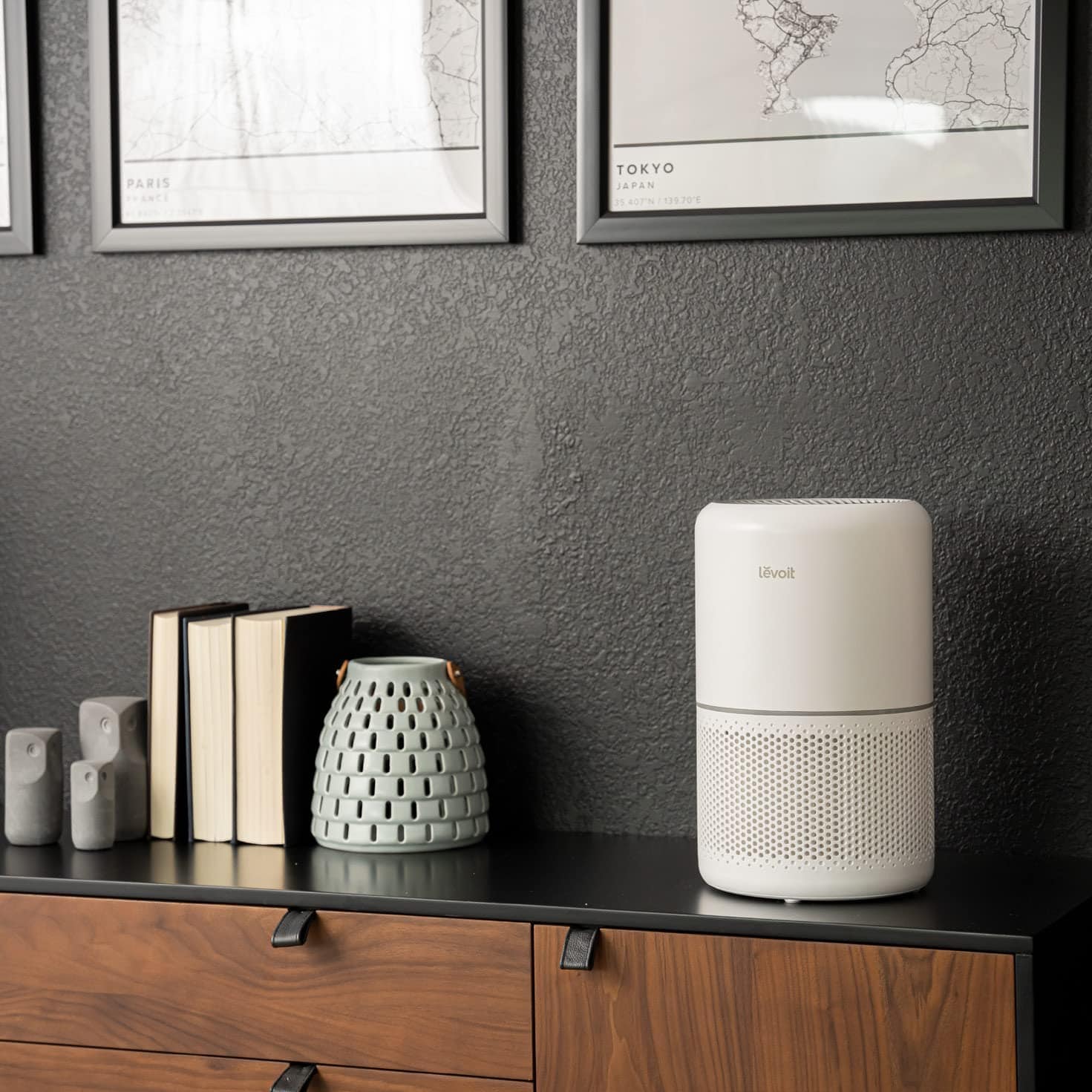 LEVOIT Air Purifier