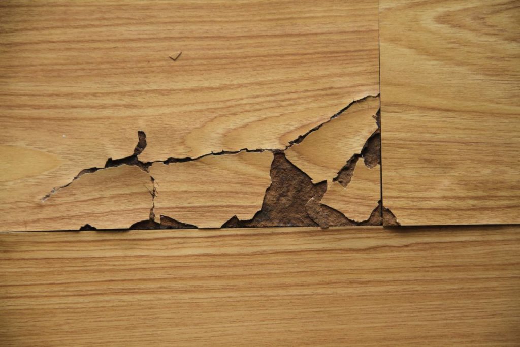 Laminate Floor Water