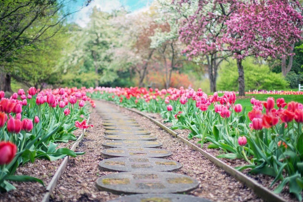 Landscape Garden
