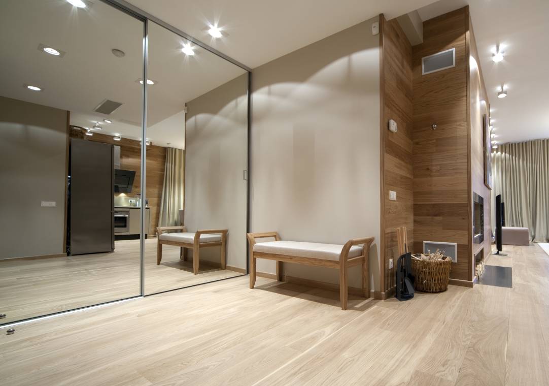 Mirrored Door
