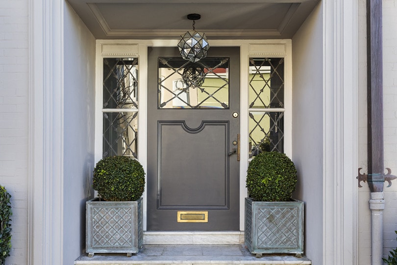 Newly Painted Metal Door