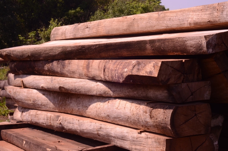 Oak wood lumber drying in the sun