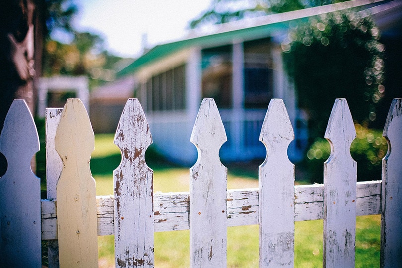 Picket Fences