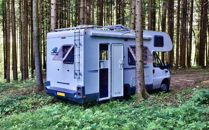 RV in the woods