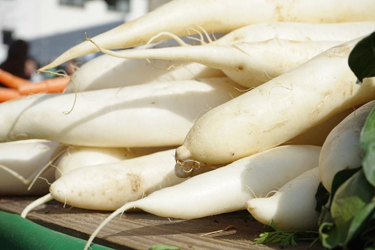 10 Best Vegetables to Grow in Colorado (With Pictures) | Home Grail