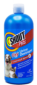Shout