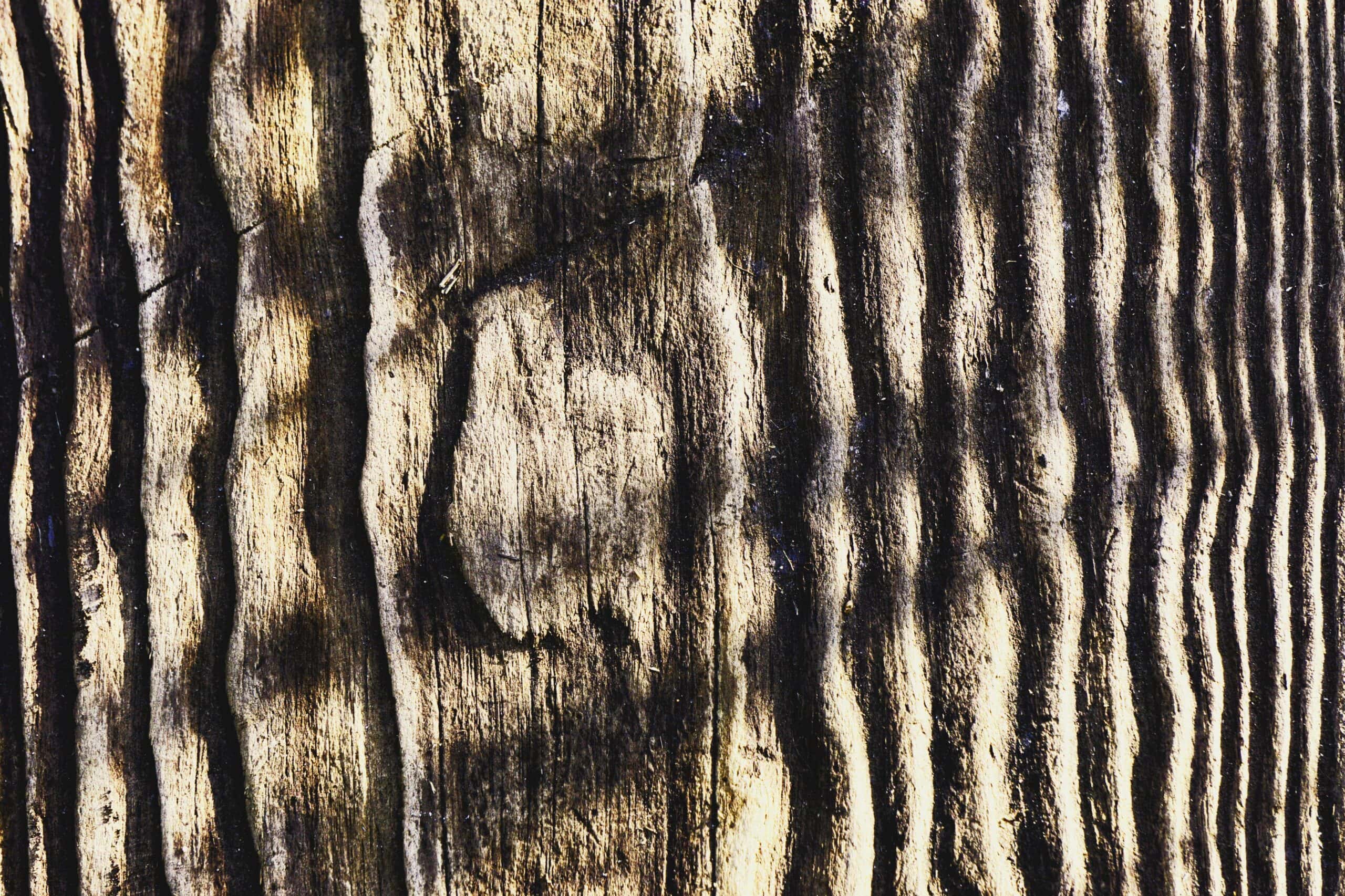 Tigerwood