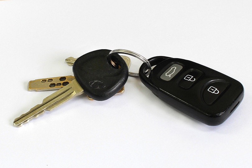 Transponder Key
