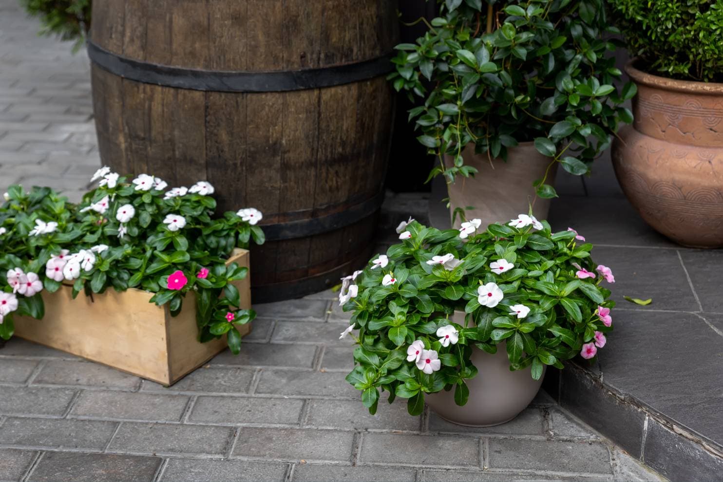 White Oak Planter Box