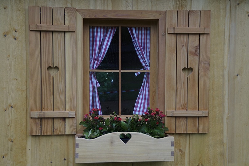 Window Shutter