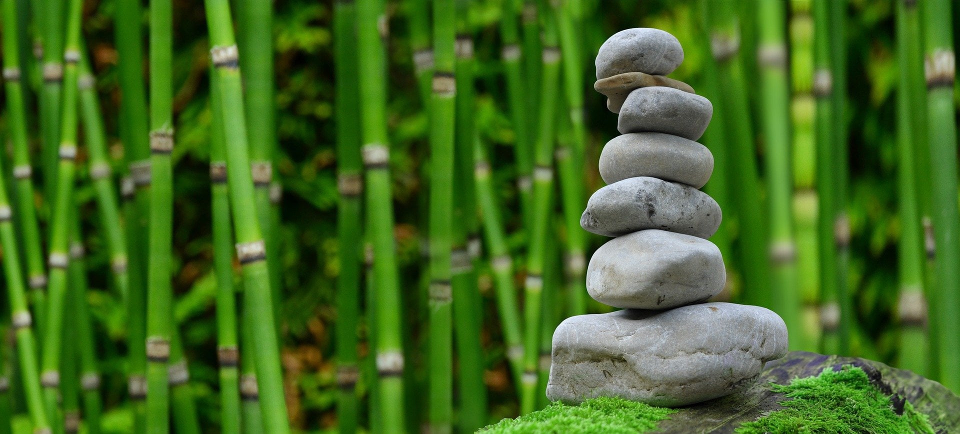 Zen Garden Stone