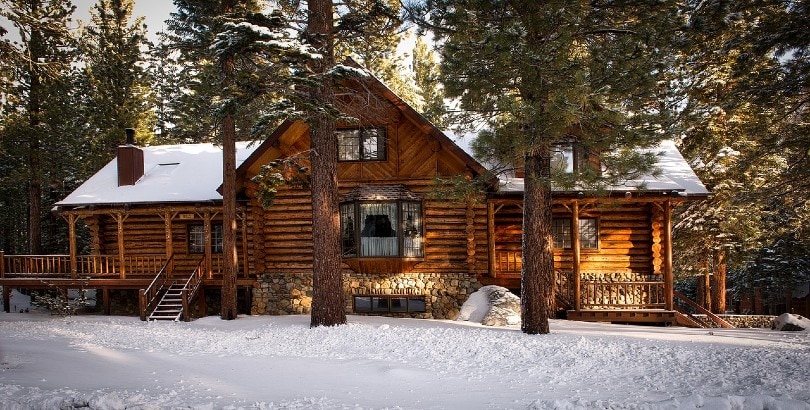 a cabin in the woods
