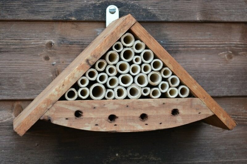 bamboo bee house