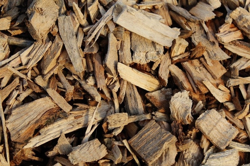 bark wood mulch