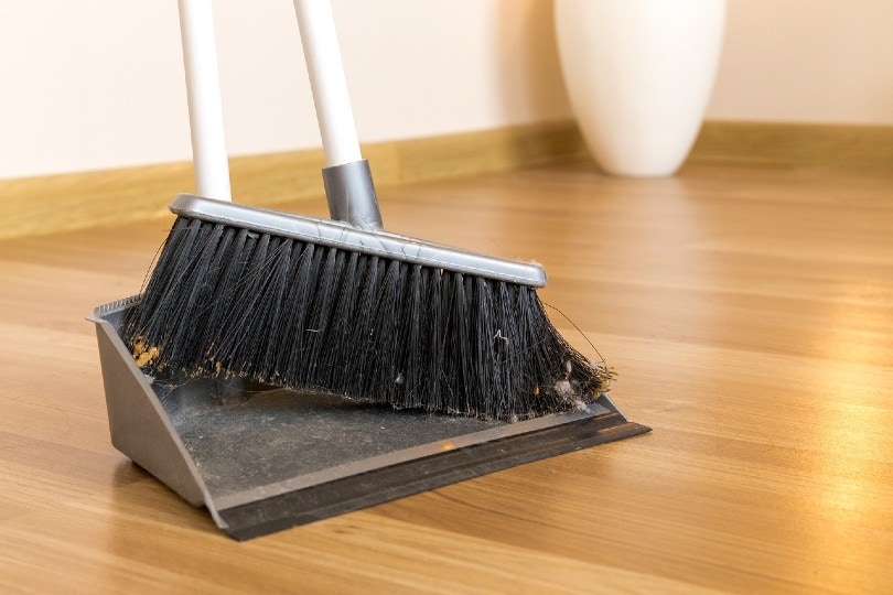 broom and dustpan with dirt and dust