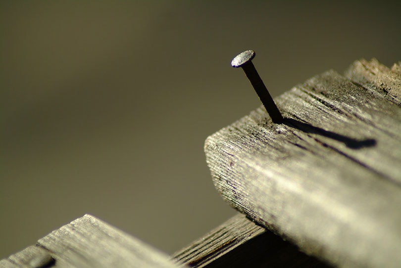 circle head nail in wood