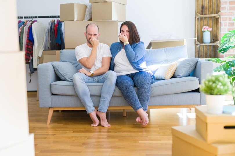 couple in a smelly house