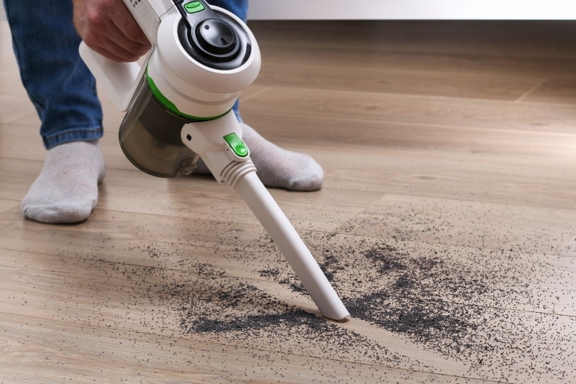 cropped man using cordless vacuum to clean wooden floor