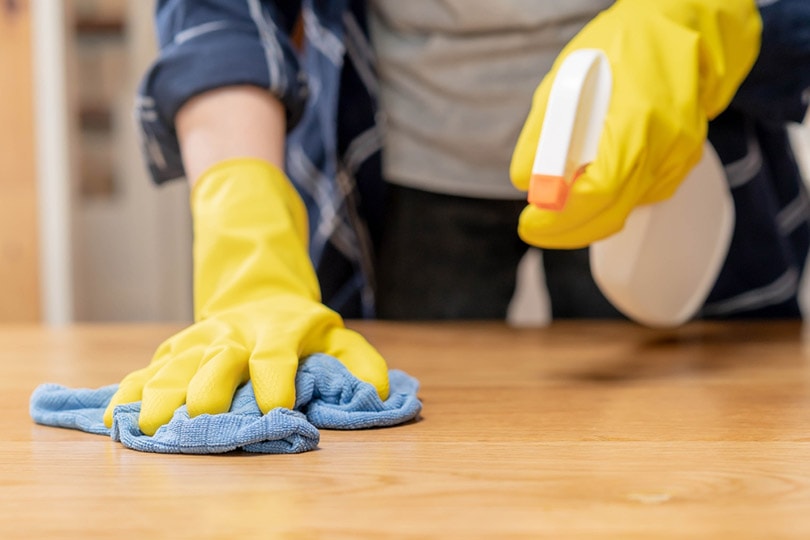 cropped woman cleaning wood surface with blue cloth and spray cleaner
