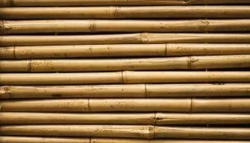 diy bamboo headboard