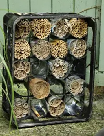 diy bee hotel