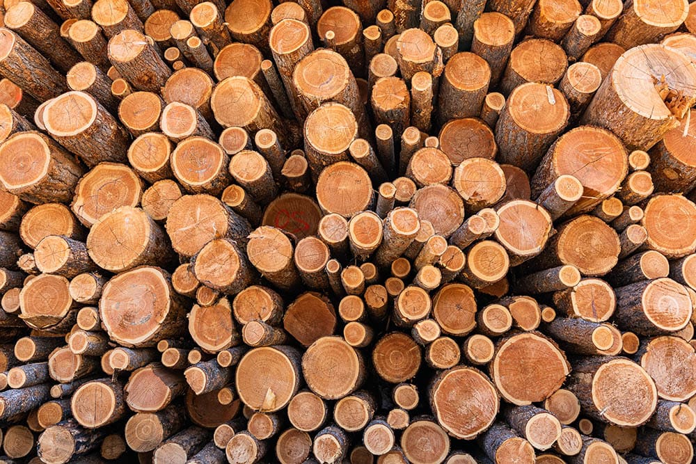 Douglas Fir Logs
