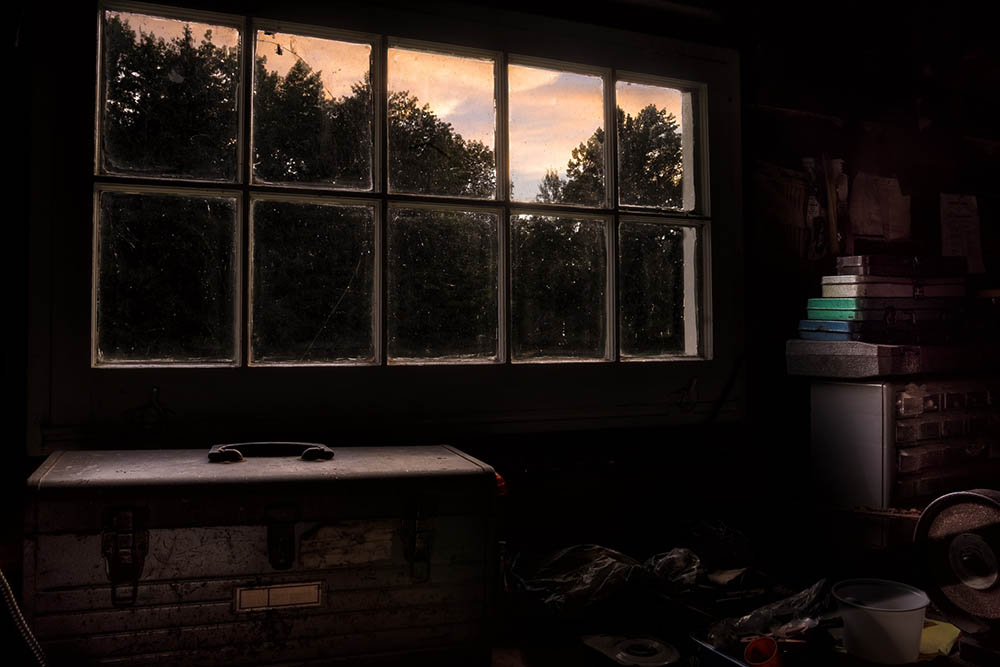 garage window
