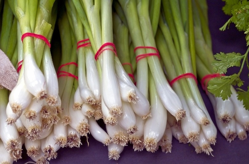 green onions or scallions