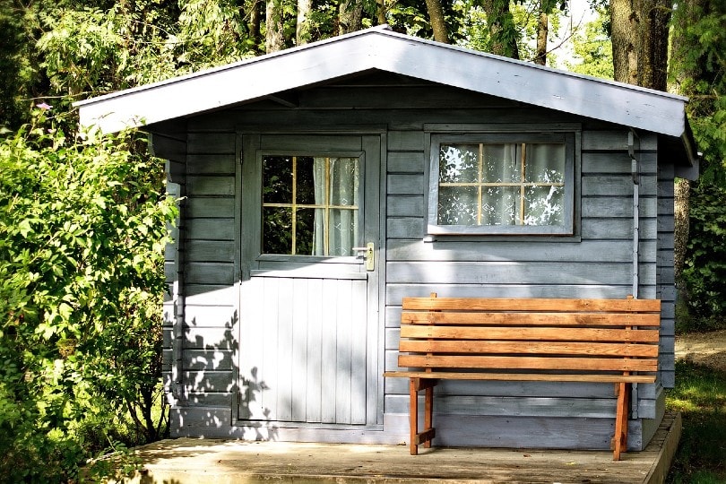 grey shed in the woods