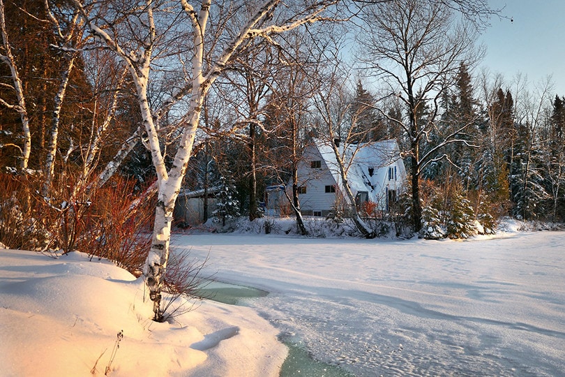house snow