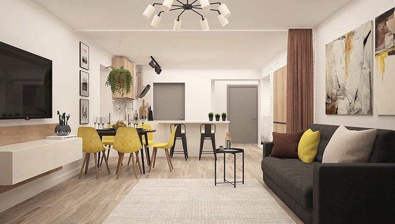 living room and kitchen in a studio apartment