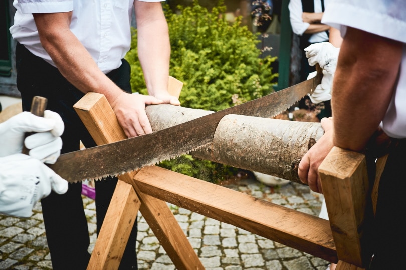 man using crosscut handsaw