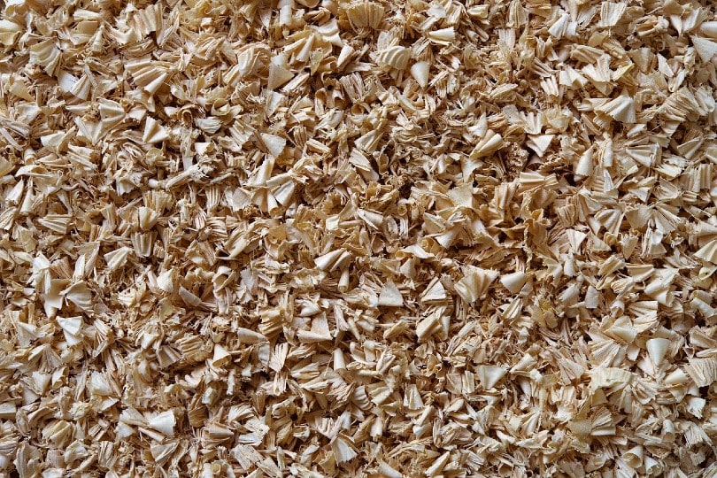 non colored wood shavings