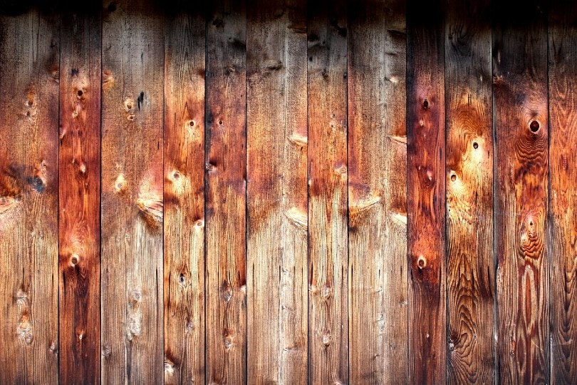 pine wood
