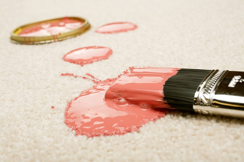 pink paint spilled on cream colored carpet with brush