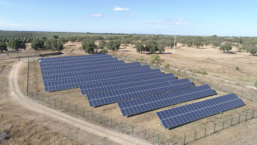 rows of solar panels on a dry field