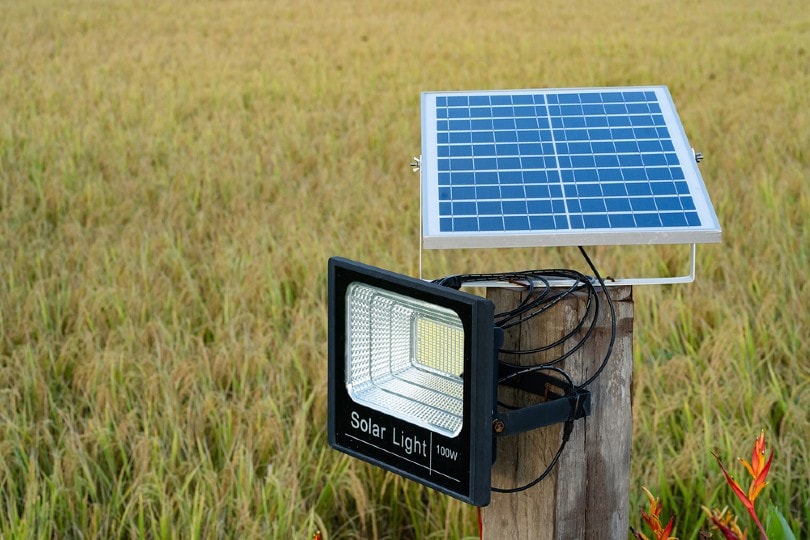solar light in the field getting energy from the sun