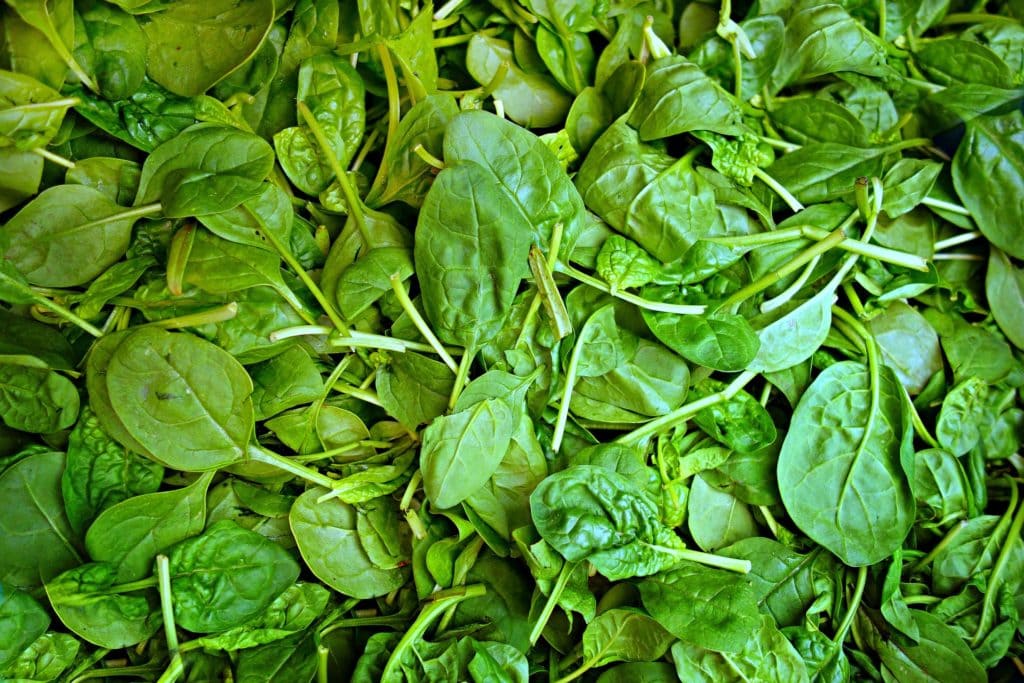 large amount of spinach