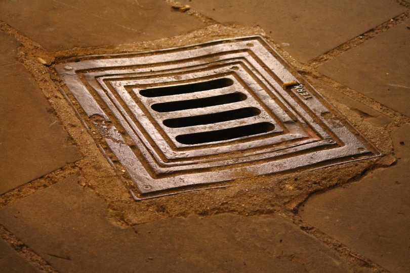 square floor drain
