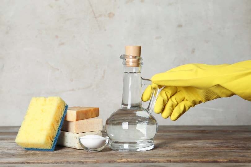 vinegar and cleaning supplies on the table