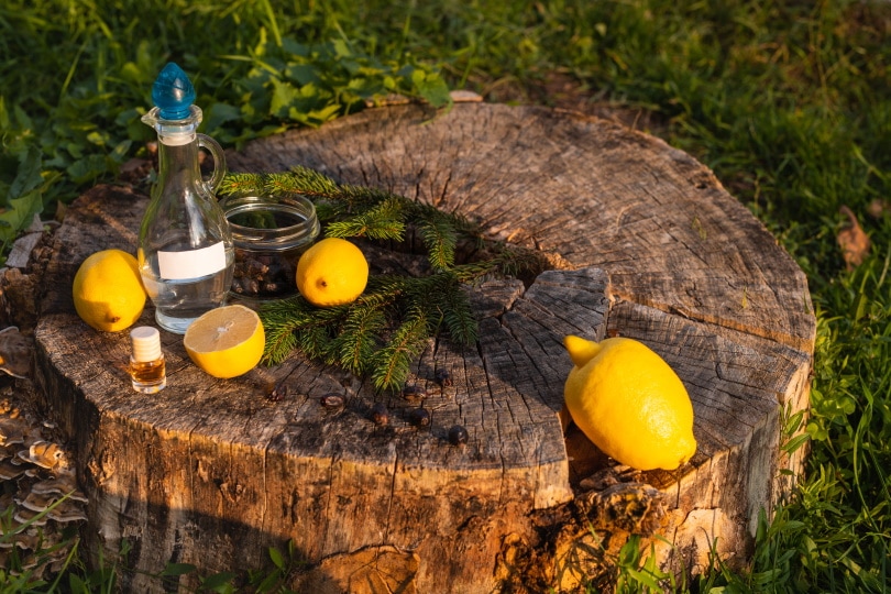 vinegar and lemon